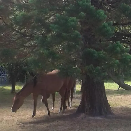 Les Portes Des Froises 3*