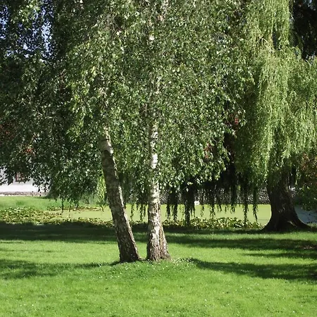 Bed & Breakfast Les Portes Des Froises 3*