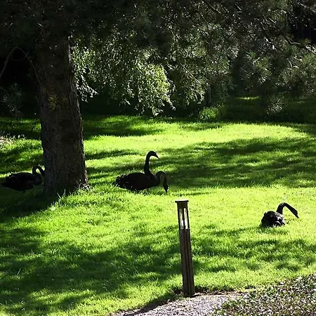 Bed & Breakfast Les Portes Des Froises 3*