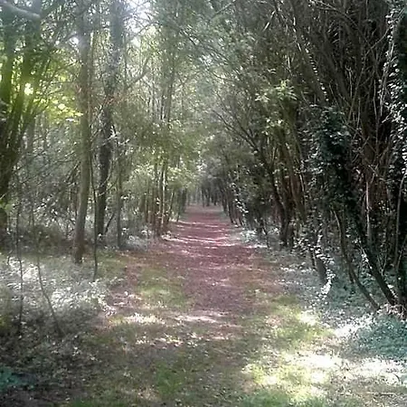 Les Portes Des Froises 3*